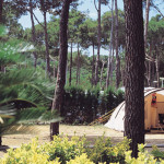 Camping Illa Mateua